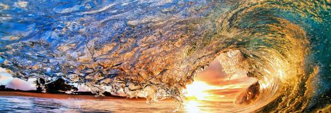 Wave Invader Bodyboards ... Intelligent Design